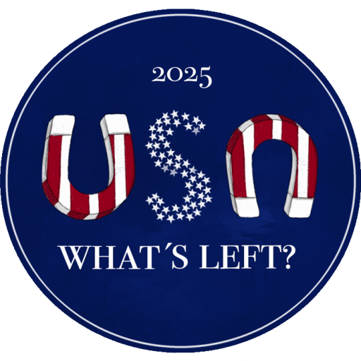 usa2025whatsleft